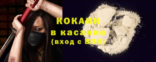 прущие грибы Рославль