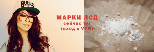 прущие грибы Рославль