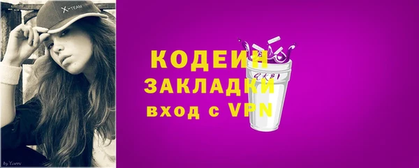 прущие грибы Рославль