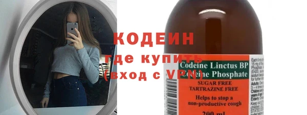 прущие грибы Рославль