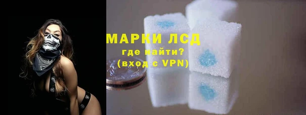 прущие грибы Рославль