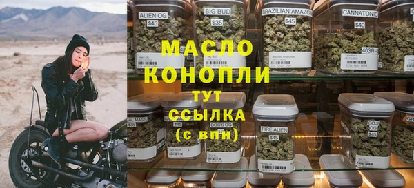 прущие грибы Рославль