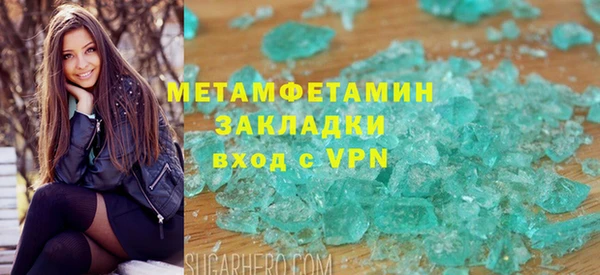 прущие грибы Рославль