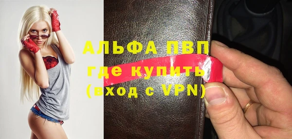 прущие грибы Рославль