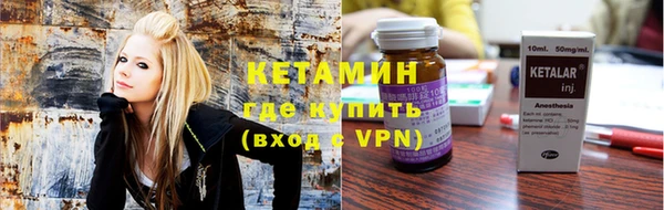 прущие грибы Рославль
