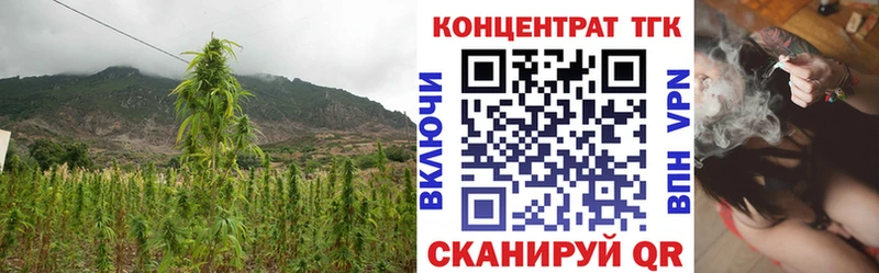 ТГК Wax  Екатеринбург 