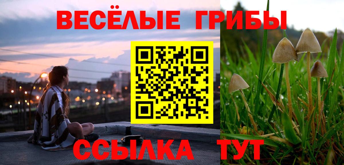 Екатеринбург  Псилоцибиновые грибы Psilocybe  Вход с VPN  Псилоцибиновые грибы GOLDEN TEACHER 