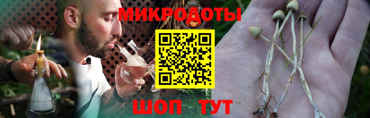 Псилоцибиновые грибы мухоморы Екатеринбург